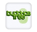 Buddhas Tree