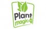 Plant Magic Plus Oldtimer Organic PK 4-8 1L