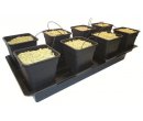 Wilma 8 Large Pot System